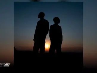 Africori - Liquideep - For The Night (Official Audio)