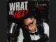 Awakened Regal - Scotts Maphuma - What The Hell feat. Stady K, Benzoo & Bob Mabena