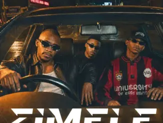 Optimist Music ZA - Zimele