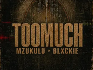 Digital Maskandi - Too Much