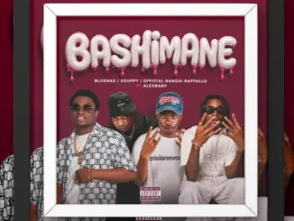 Bluenax - Bashimane