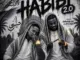 Mdeshkayro - AmaZaiZai