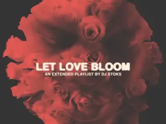 DJ Stoks – uTHANDOft. Miglow, C-Moody, T-Drum, brysonfr
