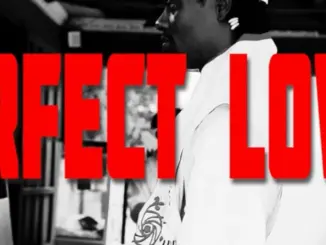 Jah Chronick – Perfect Love
