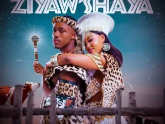 Real Nkosana – Ziyaw'shaya Ft. GoldMax